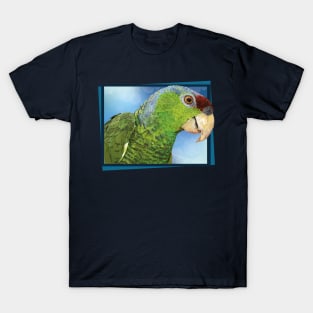 lilac-crowned parrot T-Shirt